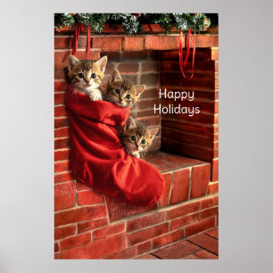 Drei Kätzchen in einem Weihnachtsstrumpfplakat Poster