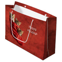 Drei Kätzchen in einer Weihnachtsstrumpf-Geschenkt