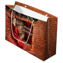Drei Kätzchen in einer Weihnachtsstrumpf-Geschenkt