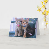 Drei Kätzchen Karte (Gelbe Blume)