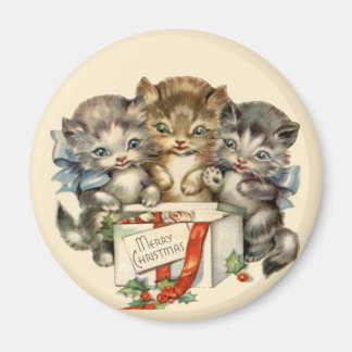 Drei Kätzchen Magnet