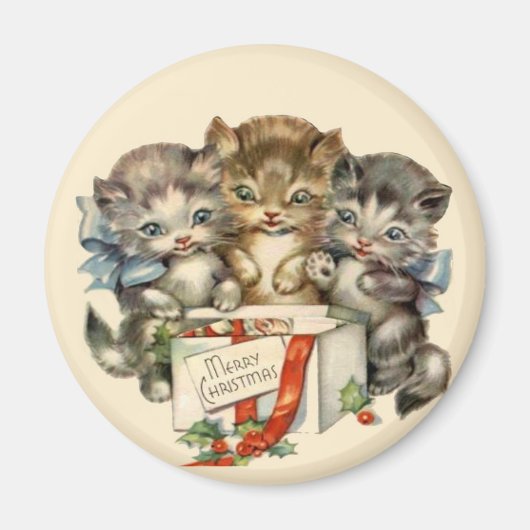 Drei Kätzchen Magnet (Vorne)