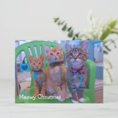 Drei Kätzchen Meowy Dankeskarte (Stehend Vorderseite)