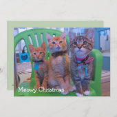 Drei Kätzchen Meowy Dankeskarte (Vorne/Hinten)