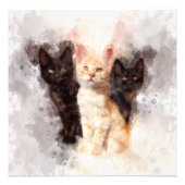 Drei Kätzchen niedlich und schön im Wasser Fotodruck (Vorne)