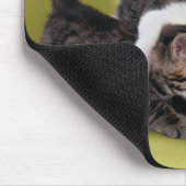 Drei Kätzchen umarmen sich Mousepad (Ecke)