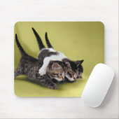 Drei Kätzchen umarmen sich Mousepad (Mit Mouse)