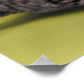 Drei Kätzchen umarmen sich Poster (Ecke)