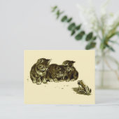 Drei Kätzchen und ein Frosch Postkarte (Stehend Vorderseite)