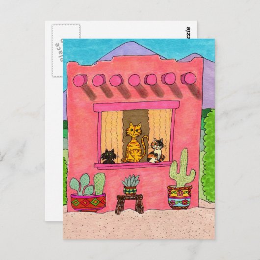 Drei Katzen in einem rosa Adobe House Postkarte (Vorne/Hinten)