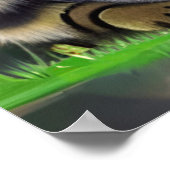 Drei Katzen mit Höflichkeit Poster (Ecke)