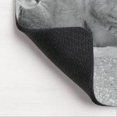 Drei Katzen Mousepad (Ecke)