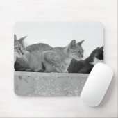 Drei Katzen Mousepad (Mit Mouse)