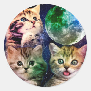 Drei Katzen und der Mond Runder Aufkleber
