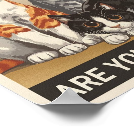 Drei Katzen und eine Frage Kacke du? Funny Cat Poster (Ecke)