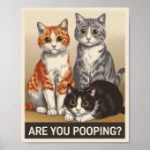 Drei Katzen und eine Frage Kacke du? Funny Cat Poster (Vorne)