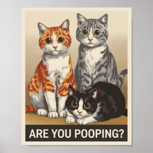 drei Katzen und eine Frage Kacken Sie? Lustige Kat Poster