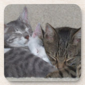 Drei Katzen-Untersetzer Untersetzer (Vorderseite)