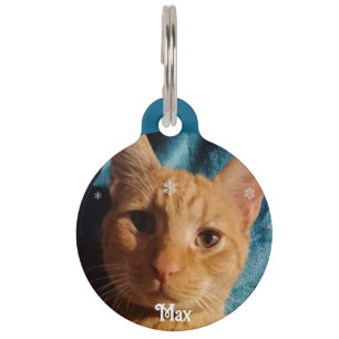 Drei Katzenfotos, personalisiertes Weihnachten Haustiermarke