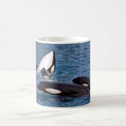 Drei Killerwale Kaffeetasse (Mittel)