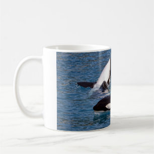 Drei Killerwale Kaffeetasse