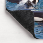 Drei Killerwale Mousepad (Ecke)