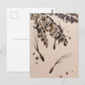 Drei kleine Fische Postkarte (Vorne/Hinten)