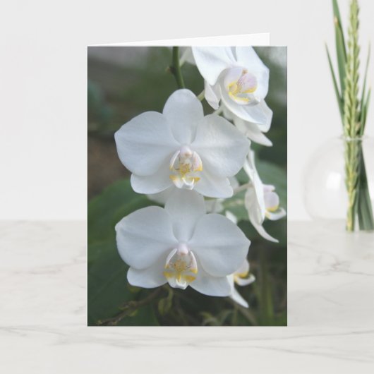 Drei kleine Mädchen-Gruß-Karte Karte (Vorderseite)