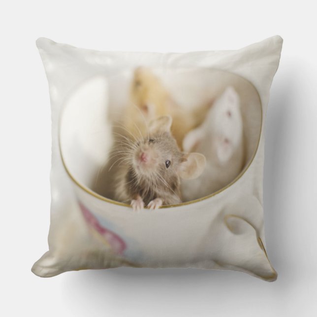 Drei kleine Mäuse Kissen (Vorderseite)