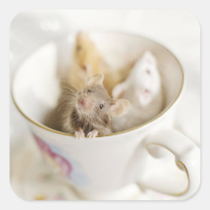 Drei kleine Mäuse Quadratischer Aufkleber