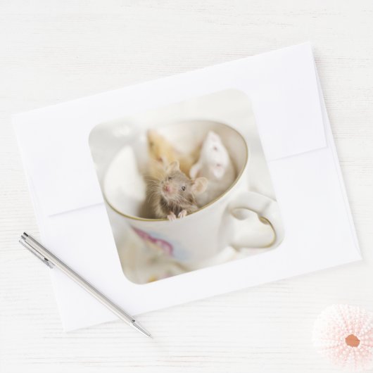 Drei kleine Mäuse Quadratischer Aufkleber (Umschlag)