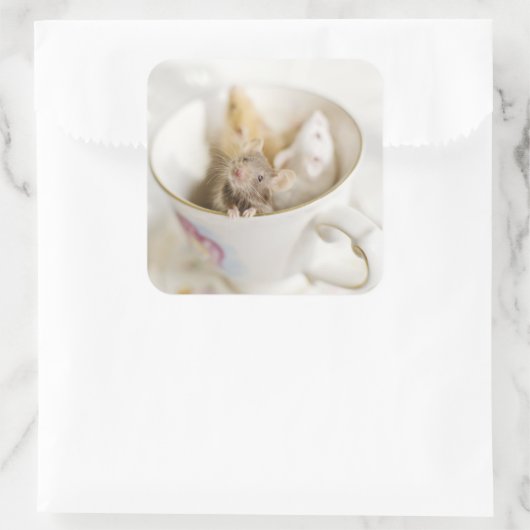 Drei kleine Mäuse Quadratischer Aufkleber (Tasche)
