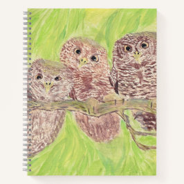 Drei kleine Schmuckschalen - Acrylmalerei. Notizblock