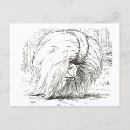 Drei kleine Schweine: Die erste kleine Schweinekar Postkarte