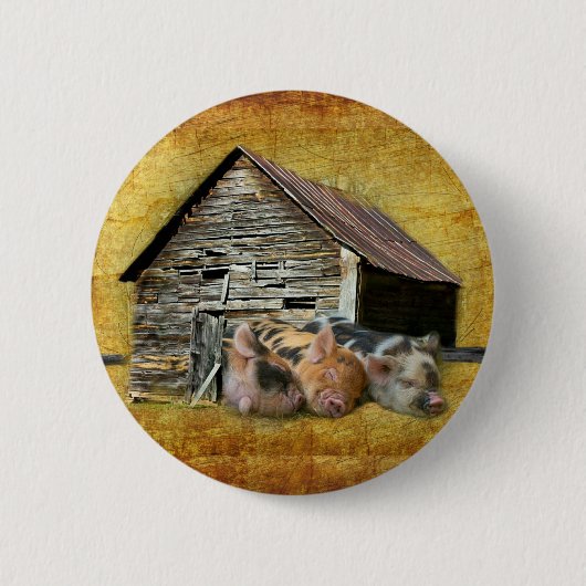 Drei kleine Schweine im rustikalen Stall schnarche Button (Vorderseite)