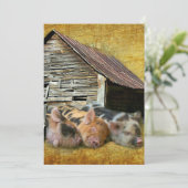 Drei kleine Schweine im rustikalen Stall schnarche Einladung (Stehend Vorderseite)