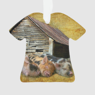 Drei kleine Schweine im rustikalen Stall schnarche Ornament