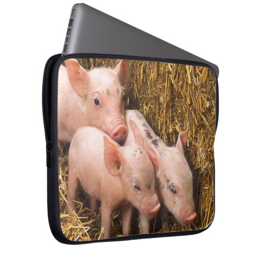 Drei kleine Schweine Laptopschutzhülle (Vorne Rechts)