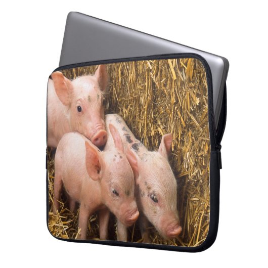 Drei kleine Schweine Laptopschutzhülle (Vorderseite Links)