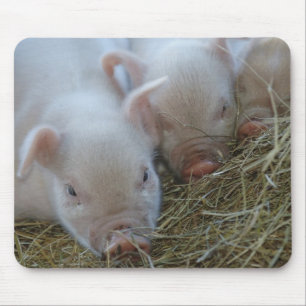 Drei kleine Schweine Mousepad