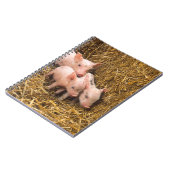 Drei kleine Schweine Notizblock (Linke Seite)