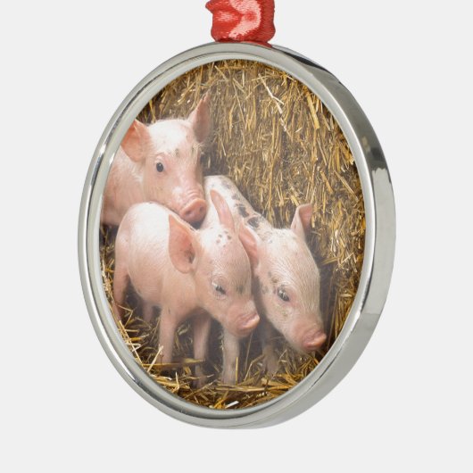 Drei kleine Schweine Ornament Aus Metall (Links)