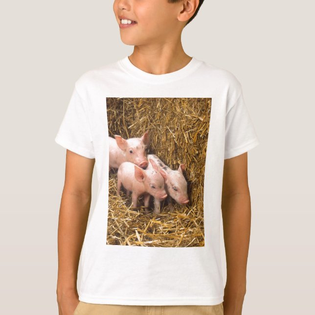 Drei kleine Schweine T-Shirt (Vorderseite)