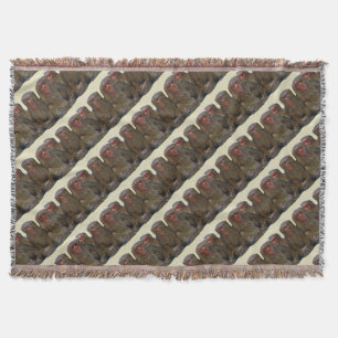 Drei kluge Affen Decke