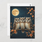 Drei kluge Owls auf einem Zweig unter Vollmond Postkarte (Vorne/Hinten)