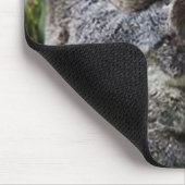Drei Koalas in einem Baum Mousepad (Ecke)