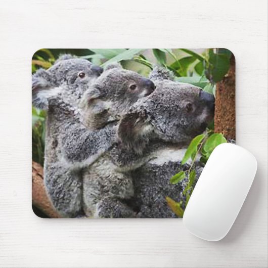 Drei Koalas in einem Baum Mousepad (Mit Mouse)