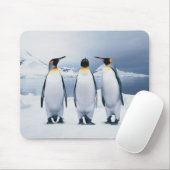 Drei König Pinguine Mousepad (Mit Mouse)