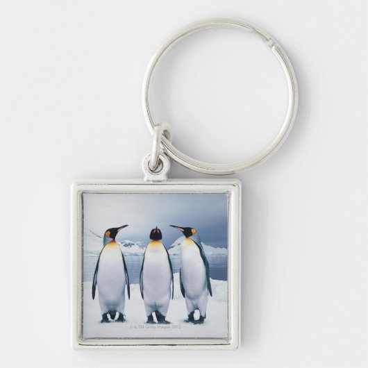 Drei König Pinguine Schlüsselanhänger (Vorne)