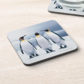Drei König Pinguine Untersetzer (Linke Seite)